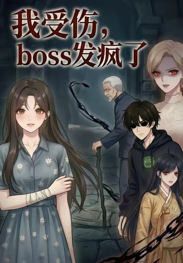 我受伤，boss发疯了海报